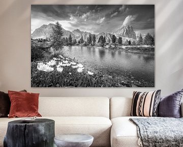 Lac de montagne avec fleurs de montagne dans les Dolomites du Tyrol du Sud en noir et blanc sur Manfred Voss, Schwarz-weiss Fotografie