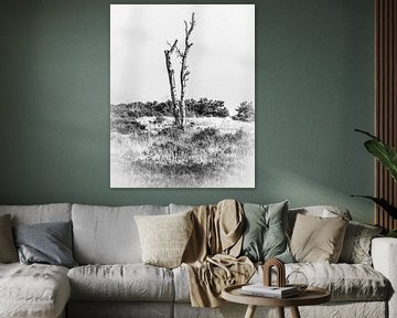 Tote Birke in Schwarz und Weiß von Fotografie Jeronimo