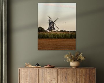 Windmühle von Föhr mit Seevogel