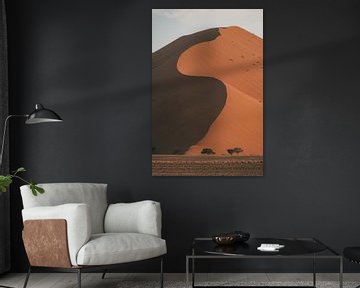 Licht en schaduw in de duinen van de Sossusvlei, Namibië van Nikkie den Dekker | travel & lifestyle photography