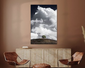 Baum unter schönem Wolkenhimmel mit weißen Wolken von Voss Fine Art Fotografie