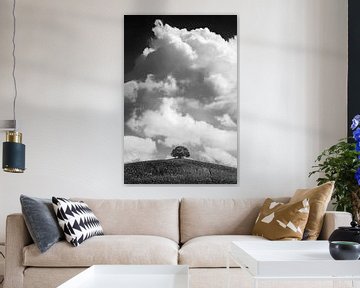 Prachtig gegroeide boom met bewolkte lucht in zwart-wit van Manfred Voss, Schwarz-weiss Fotografie