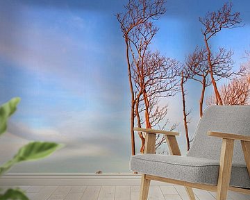 In der Winterabendsonne van Ostsee Bilder