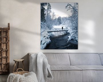 Avonturen in het winterlandschap