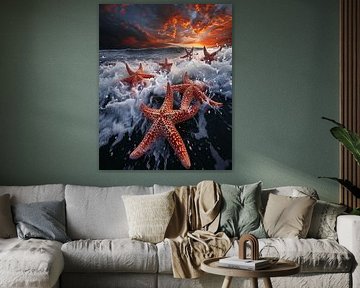 Étoiles de mer au soleil couchant
