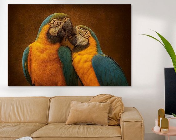 Aperçu de la chambre