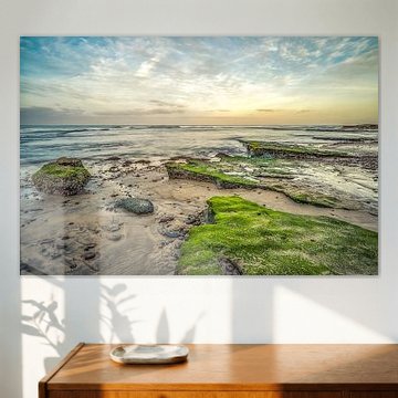 Pure Sereniteit Bij Swami's