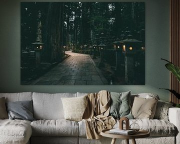 Mysteriöser beleuchteter Pfad in japanischen Wäldern von Nikkie den Dekker | Reise- und Lifestyle-Fotograf