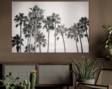 California Palms Vintage Monochrome by Joseph S Giacalone Photography