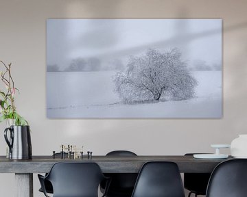 Arbre de givre sur Steffen Henze