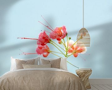 Elegant Simplicity - Blooming Summer - Peacock flowers by Femke Ketelaar