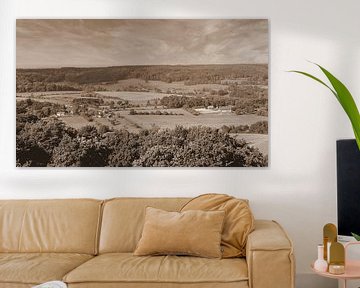 Limburger Landschaft in Sepia von Jose Lok