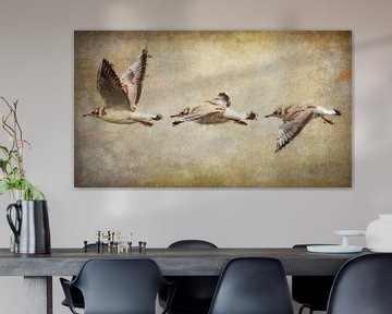 Vliegende juveniele kokmeeuwen (kunst, schilderij)