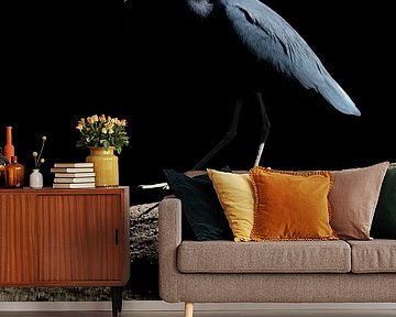 Shadow Dancer - Elegant Heron in the Twilight by Femke Ketelaar