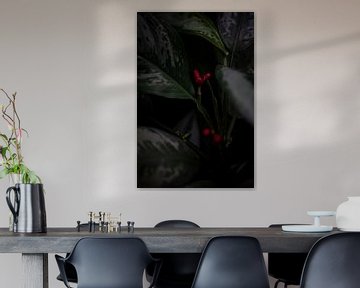 Œuvres d'art vivantes : la magie des plantes en point de mire&quot ;