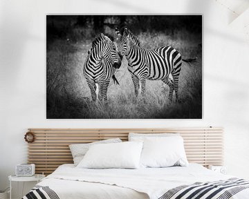 zebra's in Tanzania van Danny D'hulster