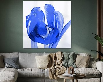 Tulp blauw van Jessica Berendsen