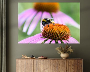 Wanddecoratie van een Hommel op een Paarse Bloem van Kristof Leffelaer