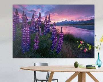 Lupinen bij zonsondergang