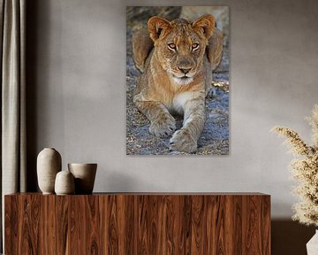 Young lion in Africa van W. Woyke