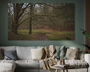 De boom met de prachtige lange takken. van Robby's fotografie