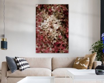 Bloemen - Roze hortensia in olieverf van Quay Art