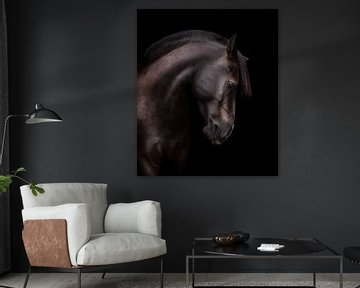 Portrait artistique d'un cheval noir sur Yvonne van de Kop