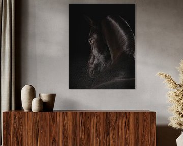 Fine Art portrait black horse by Yvonne van de Kop