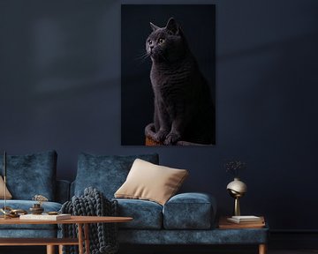 Kunstporträt Britisch-Kurzhaar-Katze von Yvonne van de Kop