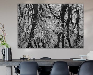 De duinen van Meijendel, Bierhoek en Kijflap, Wassenaar, IJs en hagel op de vennetjes