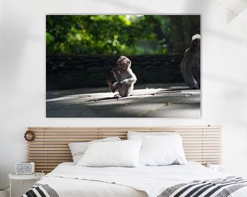 Monkey Forest, Bali
