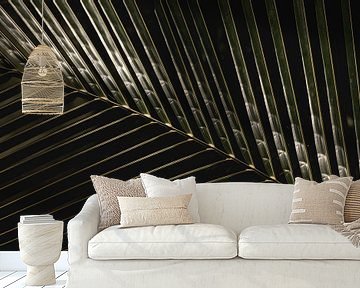 Shadow play - Contrasting Palm leaf by Femke Ketelaar