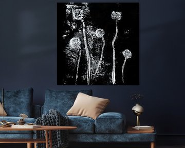 Botanica delicata. Clover flowers in white on black. by Dina Dankers