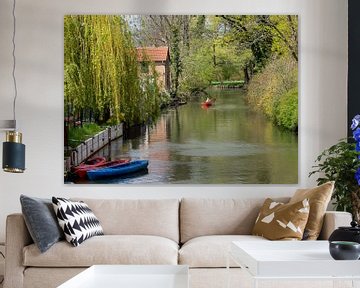 Canoë sur le Spreewald en Allemagne sur Animaflora PicsStock