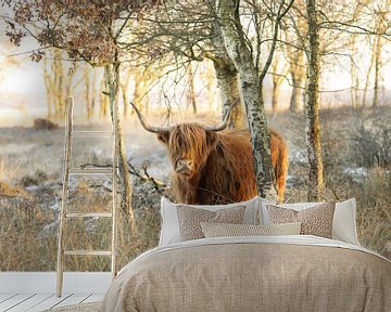 Schotse hooglander tussen bomen in de sneeuw van KB Design & Photography (Karen Brouwer)