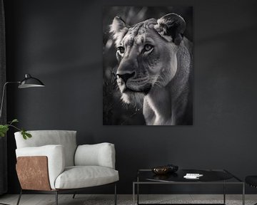 Lionne en focus, noir blanc sur drdigitaldesign