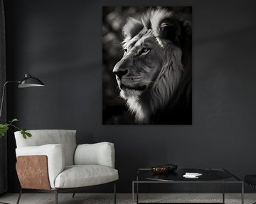Löwe im Fokus, schwarz weiß V1