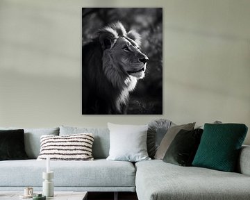 Löwe im Fokus, schwarz weiß V4