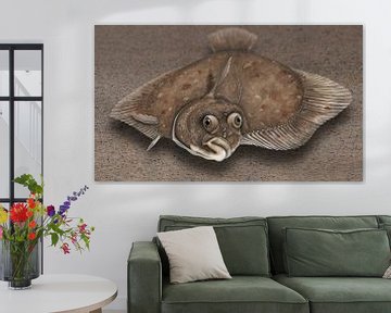 Countenance of a flounder (Platichthys flesus) from the frog's perspective by Urft Valley Art