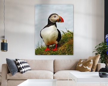 Puffin on the coast of Iceland by Rietje Bulthuis