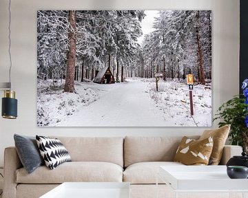 Short winter hike in the snow-covered Thuringian Forest near Floh-Seligenthal - Thuringia - Germany by Oliver Hlavaty