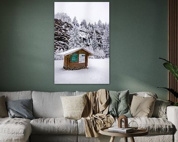 Korte winterwandeling in het besneeuwde Thüringer Woud bij Floh-Seligenthal - Thüringen - Duitsland van Oliver Hlavaty