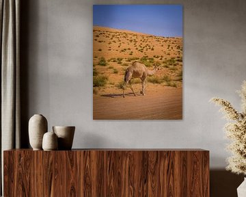 A lonely camel in the desert by Lisette van Leeuwen