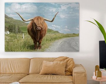 Highland Cow - Schotse Hooglander van Maaike Lueb