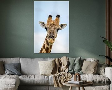 Anmutige Giraffe von Melanie van der Rijt