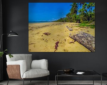 Verlaten strand bij de 'wet tropics' in Queensland, Australie van Rietje Bulthuis