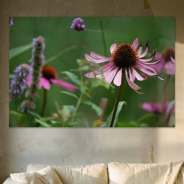 kleurenpracht in imperfectie