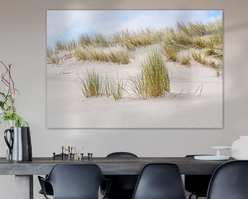 Dunes de Schoorl dune de plage avec ammophile sur eric van der eijk