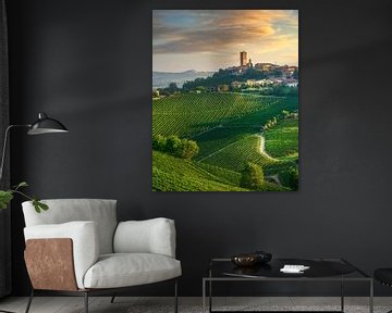 Barbaresco dorp en Langhe wijngaarden, Italië