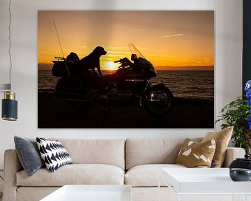 Hund auf Motorrad bei Sonnenuntergang von Annelies Cranendonk
